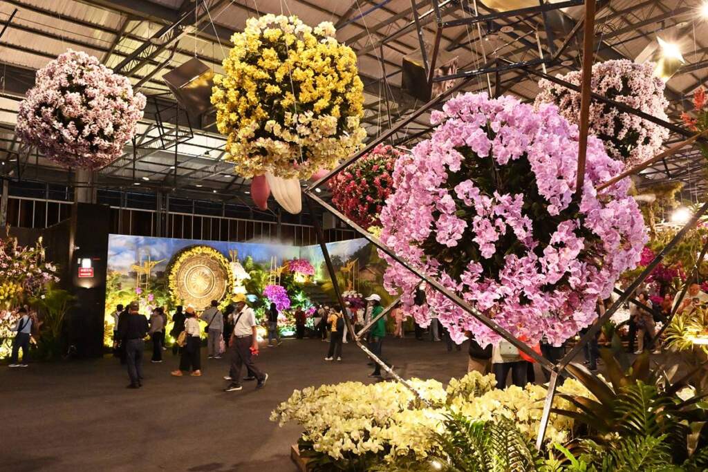 ▲2026台灣國際蘭展,白天賞花、晚上逛燈會。
