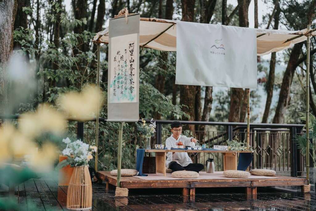 阿里山四季茶旅啟動　穀雨春日「萌芽之森」引領學童走入百年肖楠林體驗茶文化