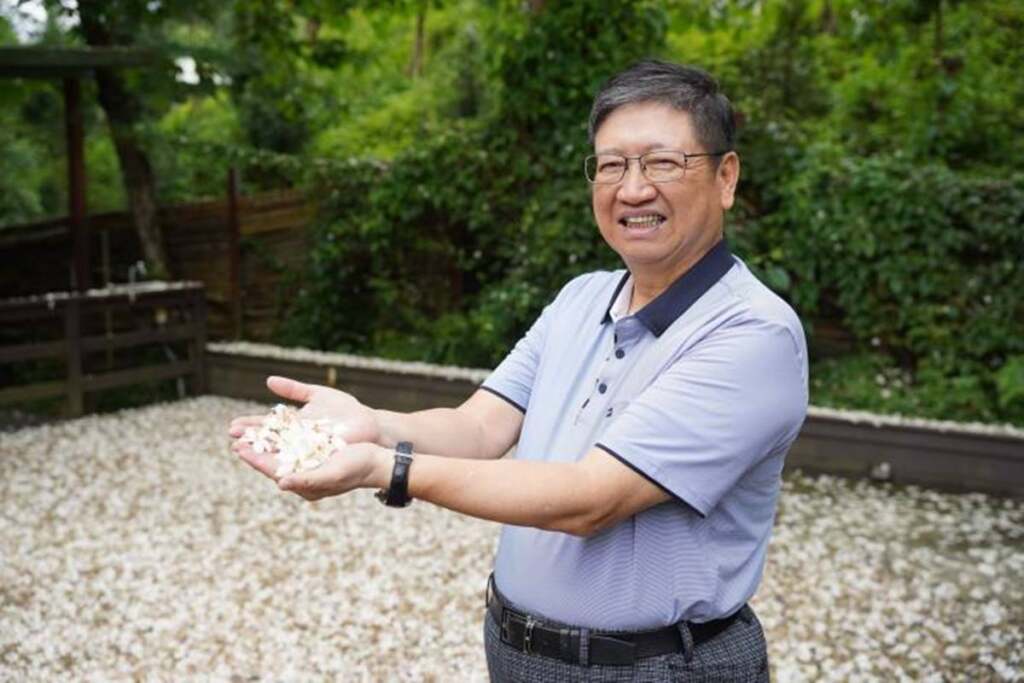 新竹桐花祭4月18日浪漫展開　串聯五鄉鎮展客庄風情